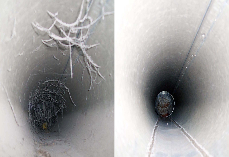 Professional Dryer Vent Cleaning Service