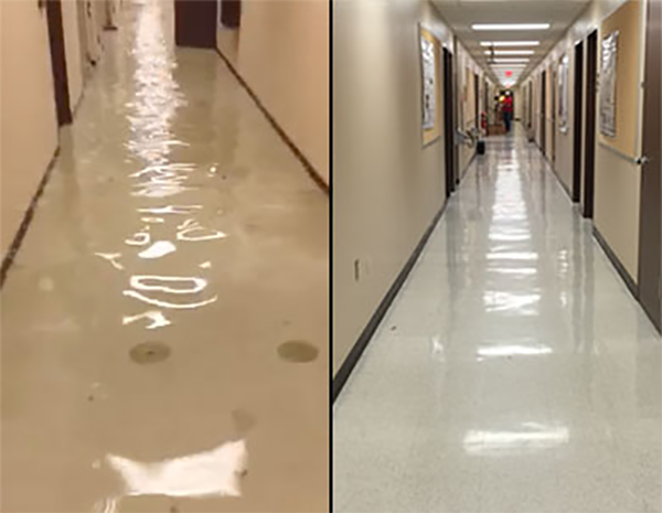 Professional Water Damage Cleaning Service
